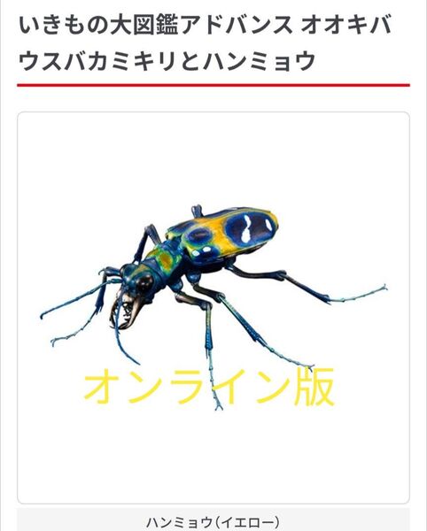 【オンライン版】いきもの大図鑑アドバンス ハンミョウ イエロー ディスプレイスタンドセット