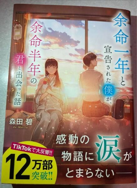 余命一年と宣告された僕が、余命半年の君と出会った話