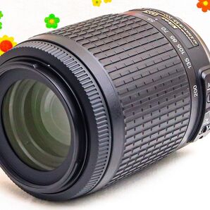 美品 ニコン Nikon AF-S 55-200m☆望遠レンズ☆付属品多数