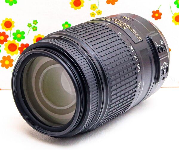 美品 超望遠レンズ!☆Nikon AF-S 55-300mm☆手振れ補正付き