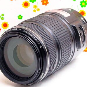 Canon EF 75-300mm IS USM☆超望遠レンズ☆大人気望遠レンズ