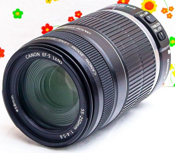 キャノン Canon EF-S 55-250mm IS☆お手軽望遠レンズ♪