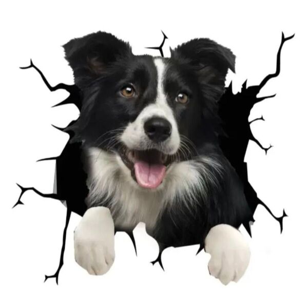 ボーダーコリー 犬 カーステッカー 車用 ウォールステッカー 新品 自動車 シール 可愛い 3D おもしろ ユニーク