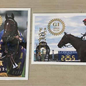 御駿印 ドウドュース 天皇賞 秋 ジャパンカップ 2枚セット