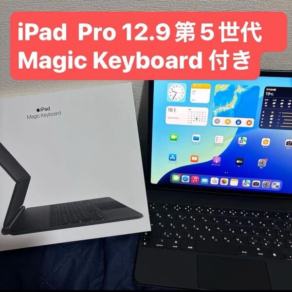 SIMフリー iPad Pro 12.9インチ 第5世代 256GB スペースグレイ Wi-Fi Cellular