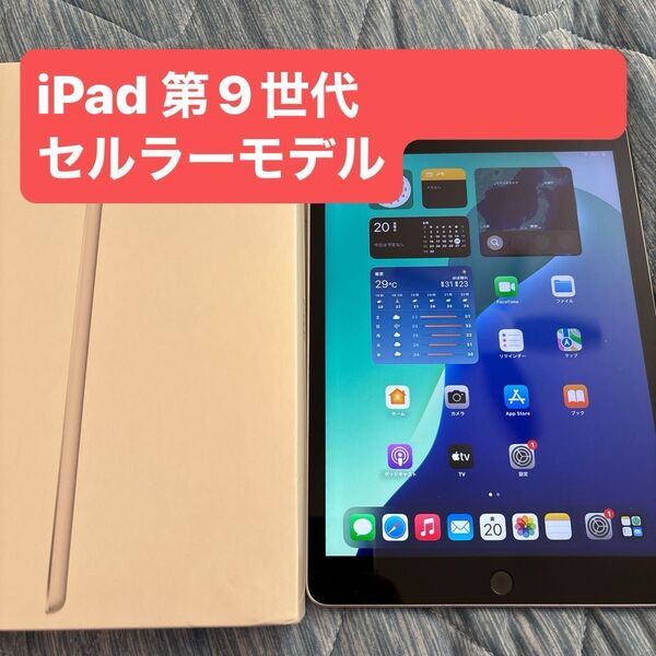 iPad9 第9世代 2021 MK493J/A wi-fi+cellular シルバー 64GB(10.2インチ)