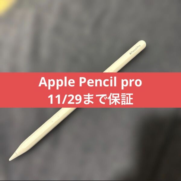 美品 Apple保証付き Apple Pencil Pro MX2D3ZA/A Apple アップルペンシル