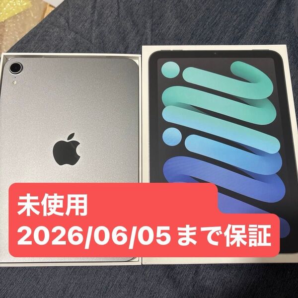 未使用 Apple iPad mini A17 Pro スペースグレイ 128GB Wi-Fiモデル MXN63J/A