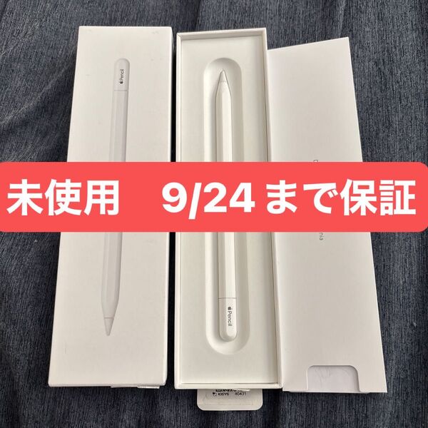 新品未使用 保証付 Apple Pencil (USB-C) アップルペンシル MUWA3ZA/A A3085 アップル13800