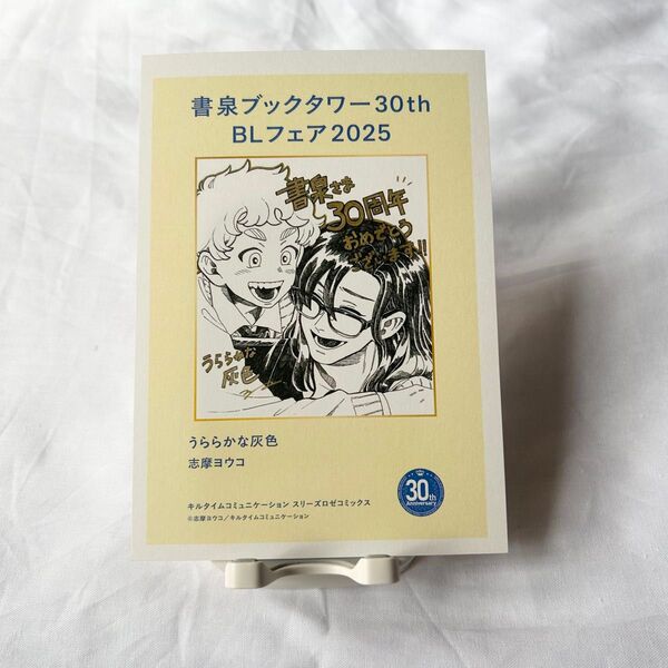 【志摩ヨウコ】うららかな灰色/ペーパー【書泉ブックタワー】