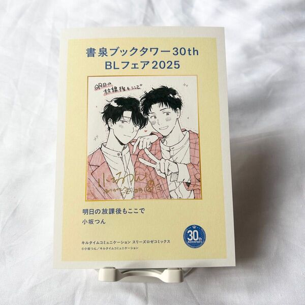 【小坂つん】明日の放課後もここで/ペーパー【書泉ブックタワー】