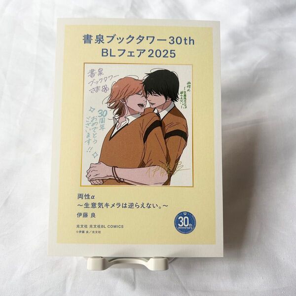 【伊藤良】両性α〜生意気キメラは逆らえない。〜/ペーパー【書泉ブックタワー】