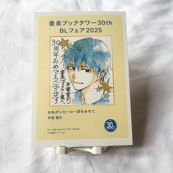 【早寝電灯】おねがいヒーロー涙をみせて【書泉ブックタワー】
