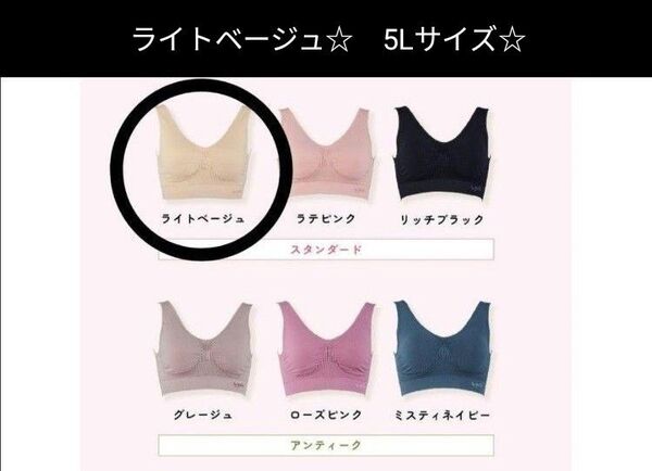 ジニエインテグレートブラ☆ ライトベージュ☆ 5Lサイズ☆ 洗濯ネットつき☆