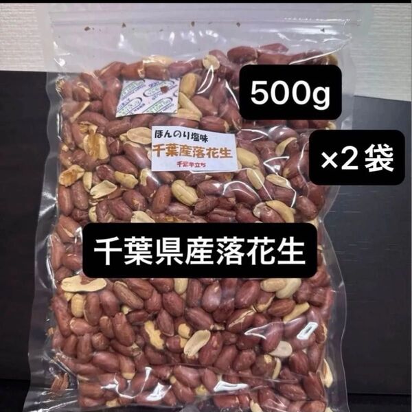 千葉県産落花生(半立ち) 塩味ロースト 1kg