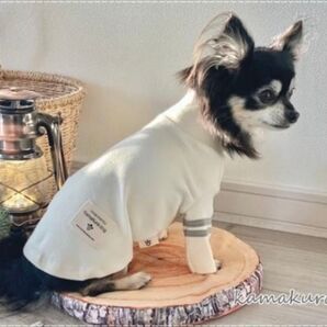 鎌倉dog ドッグウェア タートルネック オフホワイト