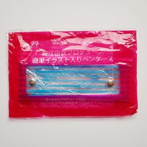 【入手困難】堀江由衣 プロデュース 直筆イラスト入り ペンケース 声優グランプリ 2009年 付録【非売品】