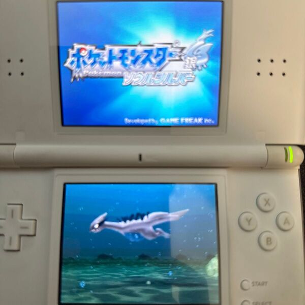 Nintendo ds ソウルシルバー ソフトのみ
