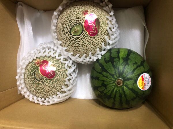 701.早勝ちお買い得数量限定小玉すいか1玉+赤肉小玉メロン2玉入り