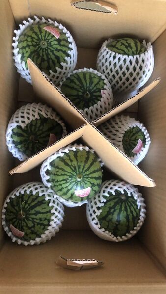 741.数量限定小玉西瓜 小スイカ1箱8玉入り