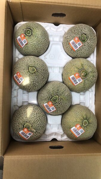 680.数量限定 赤肉メロン6-8玉入り満杯箱込み4.3Kg 前後