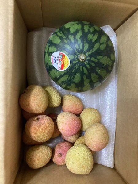 738.数量限定小玉西瓜1玉+生ライチ500g常温発送品種玉数お任せ