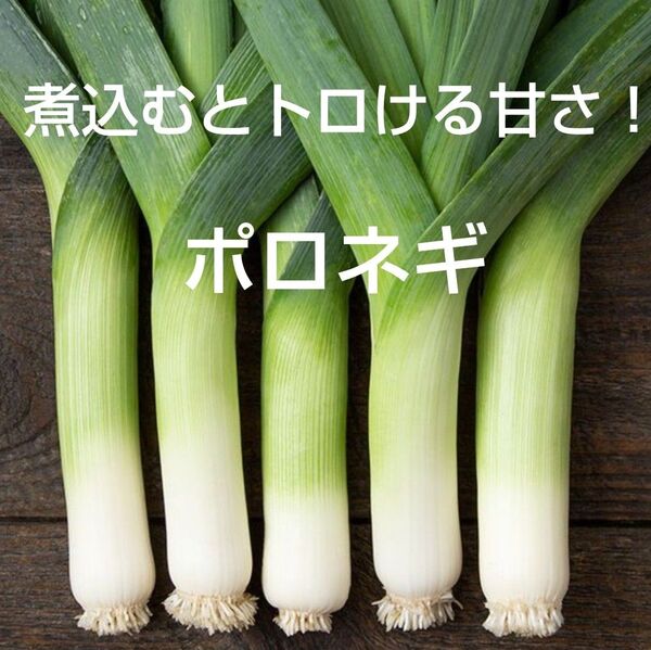 野菜の種 トロける甘さ! リーキ(ポロネギ)50-60粒