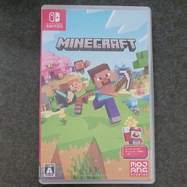 Minecraft Nintendo Switch