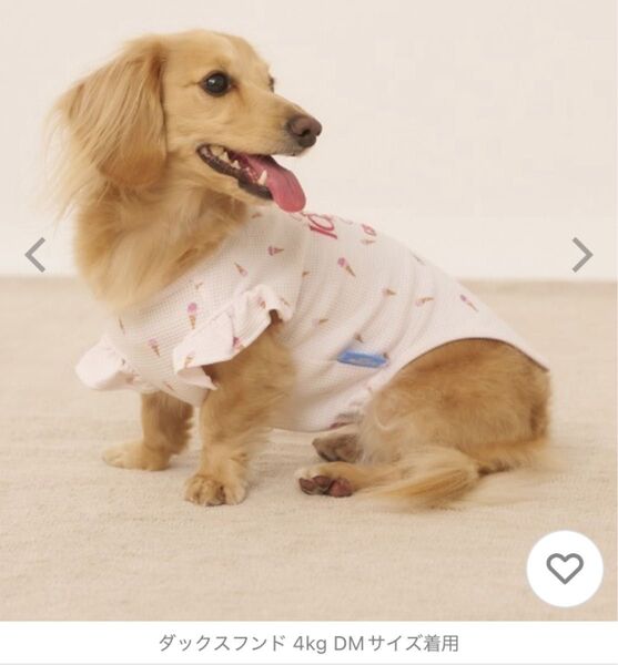 新作 gelato piqueペット 犬服 ダックスフンドサイズ アイス柄 L
