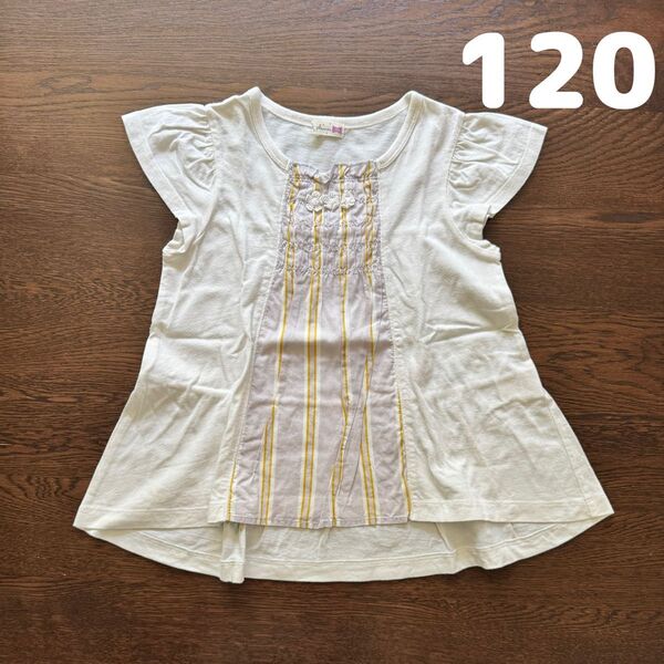 ニットプランナー ケーピー KP 半袖 チュニック tシャツ 刺繍 120 トップス