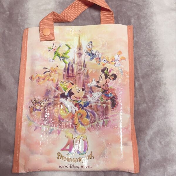 東京ディズニーランド 40周年 レジャーシート