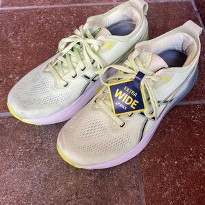 ASICS ゲルカヤノ GEL-KAYANO 31 2E相当 スニーカー 箱付き 28.0cm