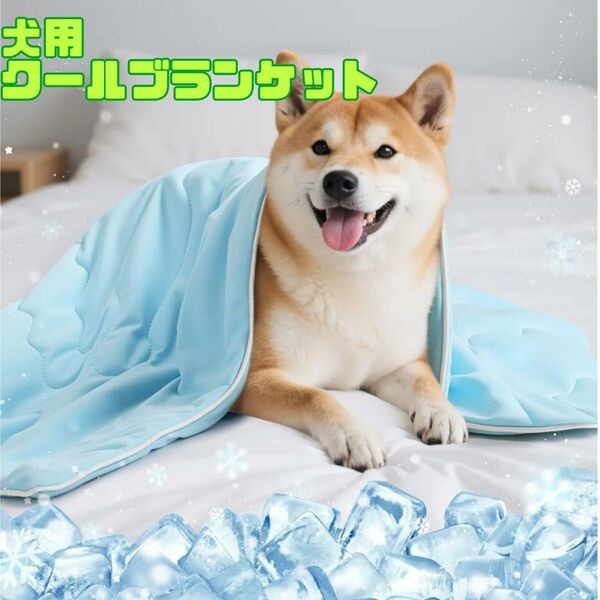 クールブランケット ペット用 接触冷感 冷感毛布 熱中症 暑さ対策 冷感グッズ