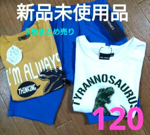 恐竜柄 Tシャツ ハーフパンツ☆新品未使用品☆ティラノザウルス 120サイズ
