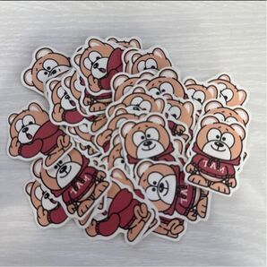 TAMシール timelesz