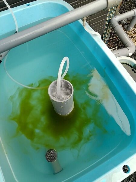 ミジンコ培養装置3層式【土台のみ】