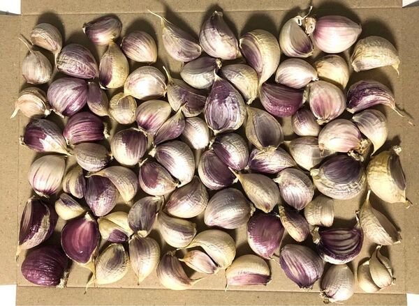 農薬無し栽培 新にんにく 大粒 バラシ 約600g (箱を除いた野菜だけの重量)