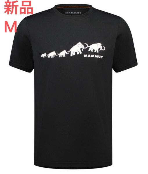 マムート MAMMUT Tシャツ 半袖 メンズ QD Logo Print T-Shirt AF Men ・国内正規品・新品未開封