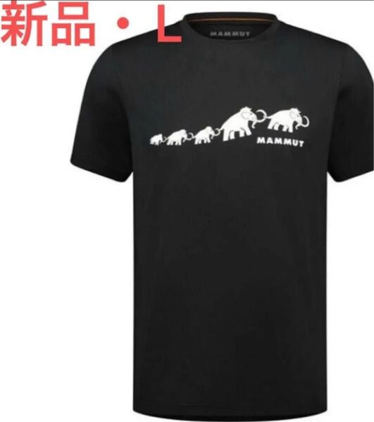 マムート MAMMUT Tシャツ 半袖 メンズ QD Logo Print T-Shirt AF Men 新品・国内正規品