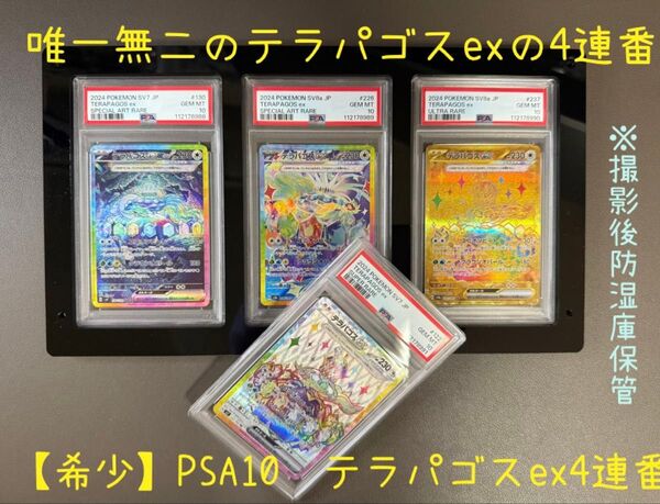 『唯一無二』【希少】PSA10テラパゴスex4連番