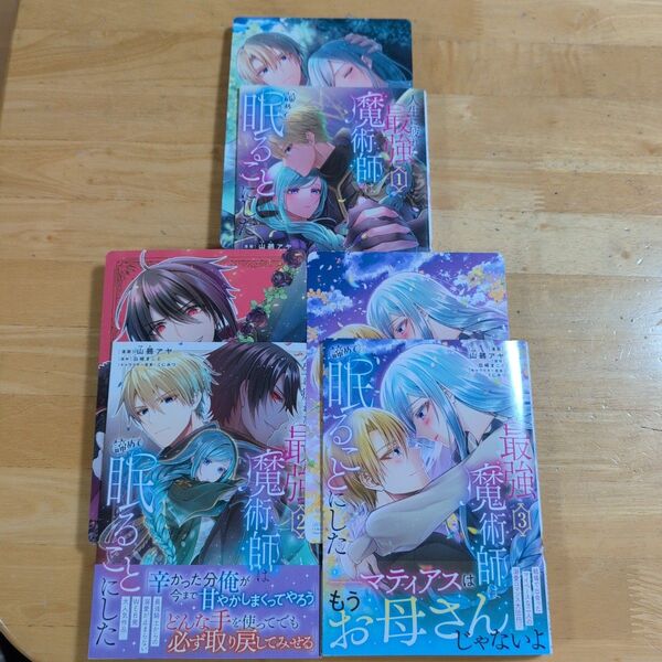 「人生に疲れた最強魔術師は諦めて眠ることにした 1〜3」完結アニメイト特典付き