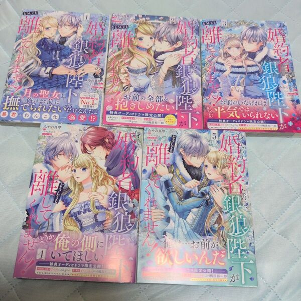 「身代わり婚約者なのに、銀狼陛下がどうしても離してくれません! 1〜5」アニメイト特典付き