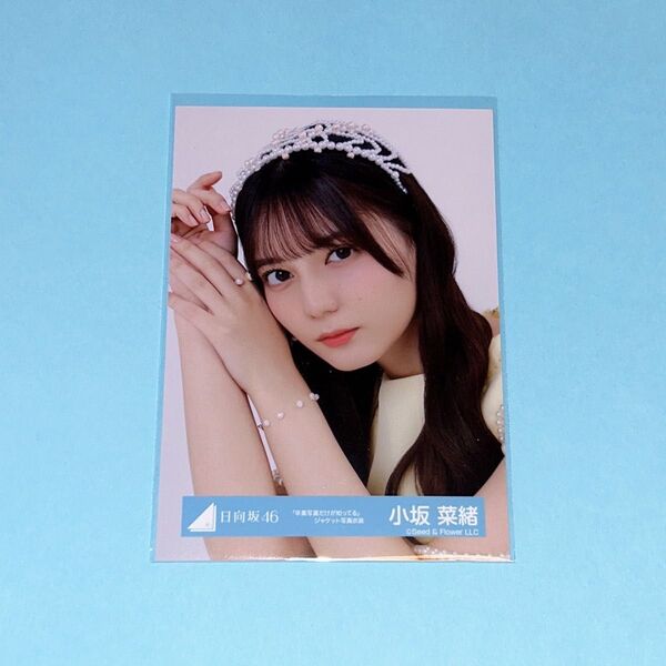 日向坂46 小坂菜緒 卒業写真だけが知ってるジャケ写衣装 生写真 ヨリ