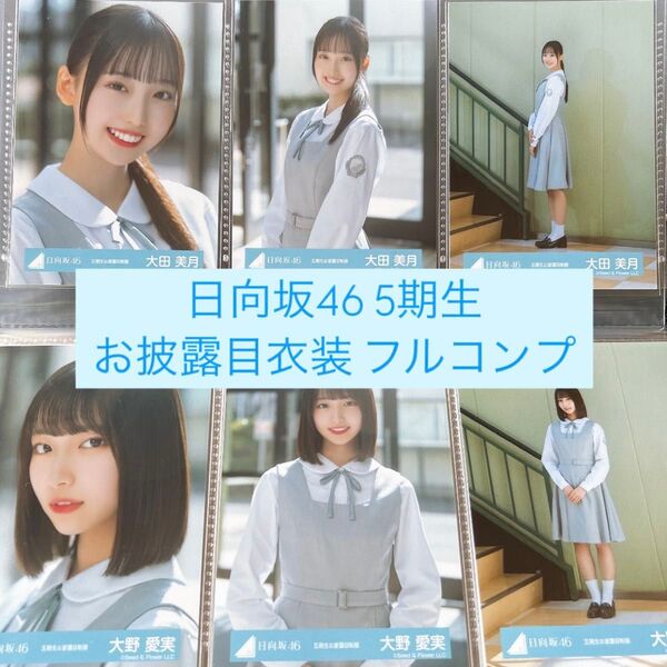 日向坂46 生写真 5期生お披露目衣装 全メンバーフルコンプ