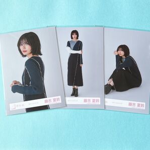 欅坂46 櫻坂46 藤吉夏鈴 カラーニットコーデ 生写真 セミコンプ