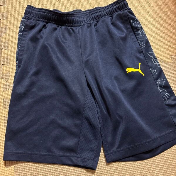 Puma DRYCELL ネイビー ハーフパンツ 150