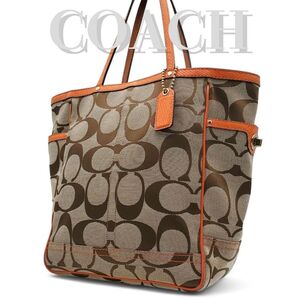 COACH ターンロック トートバッグ シグネチャー A4可 パイソン型押し