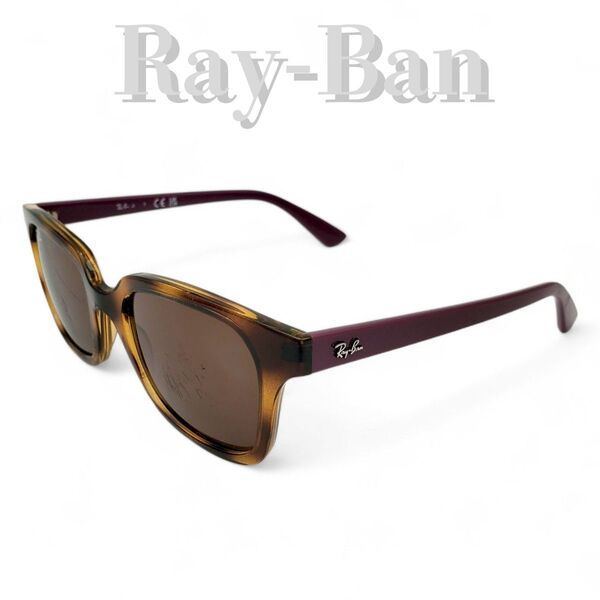 Ray-Ban レイバン サングラス 子供用 KIDS スクエア 48□18