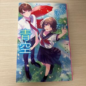 君が落とした青空 小説