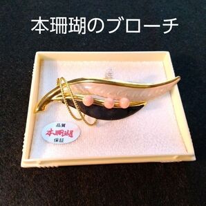 本珊瑚 ブローチ